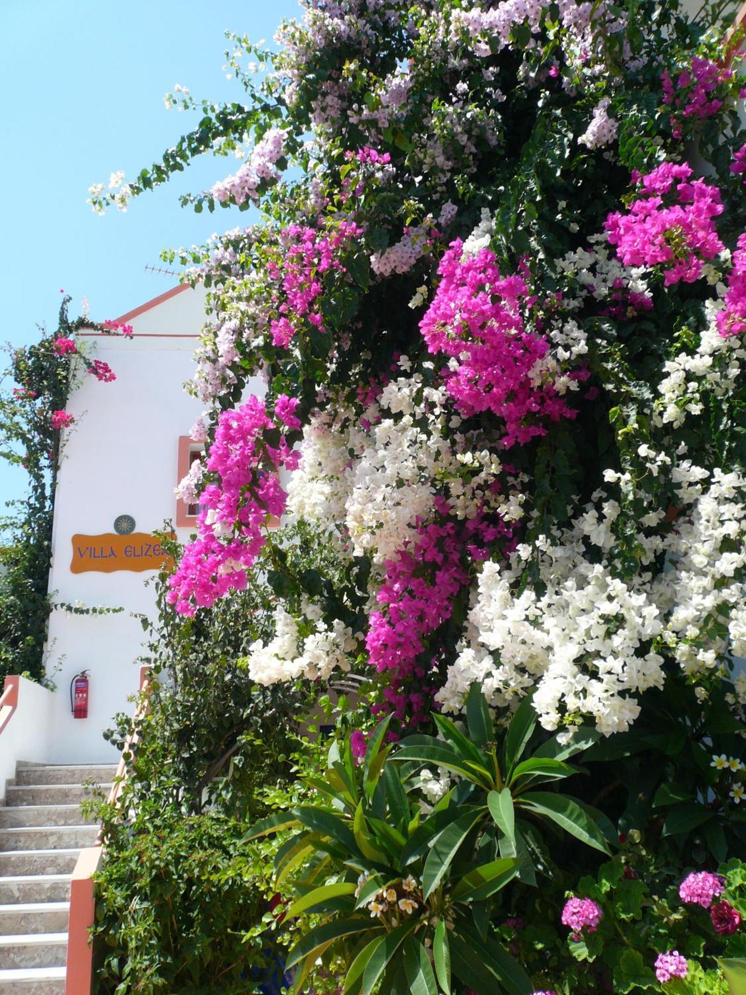 Villa Elizea Stalós Exterior foto